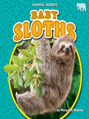 cover image of Baby Sloths